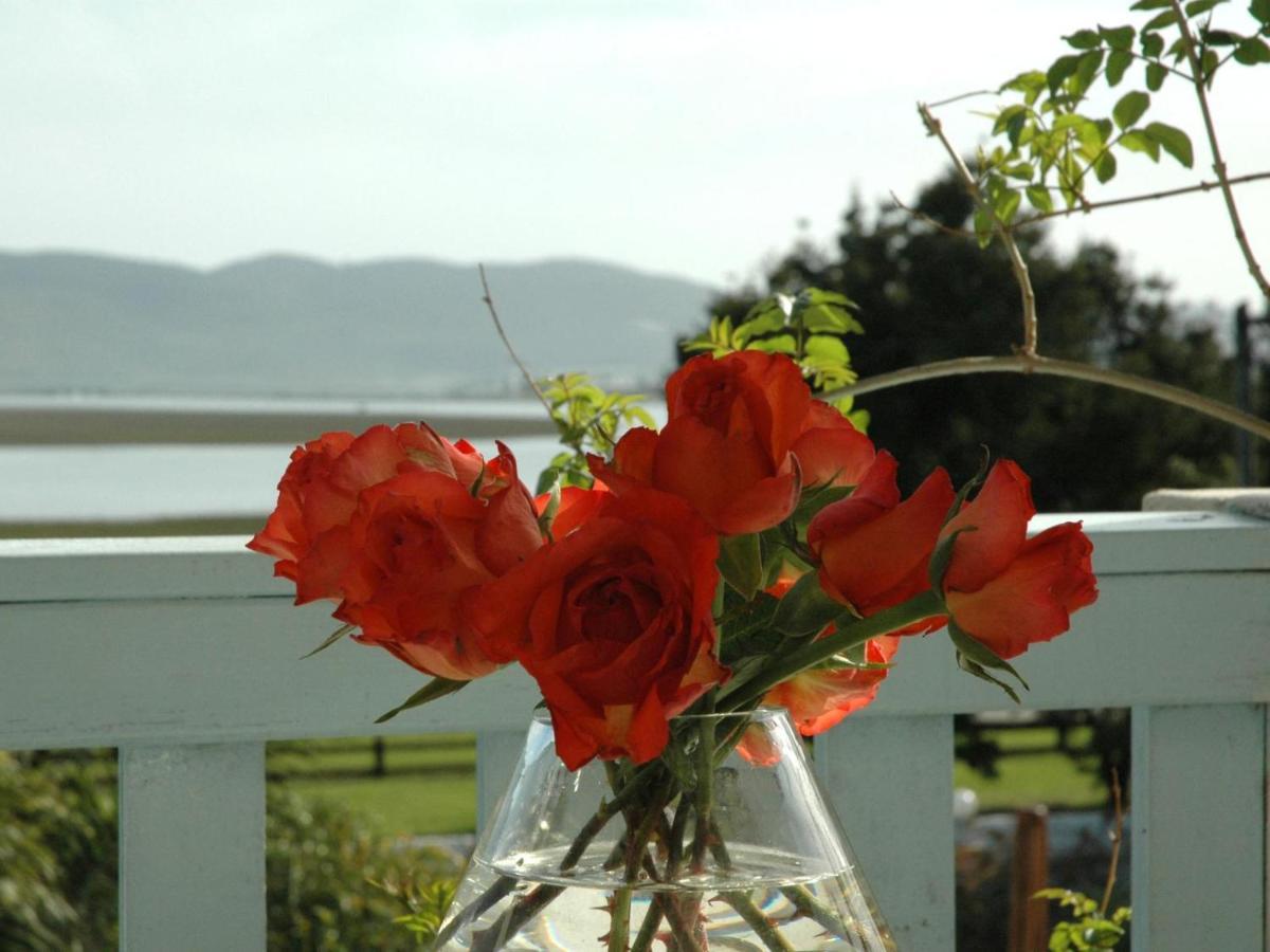Lagoona Inn Knysna Zewnętrze zdjęcie